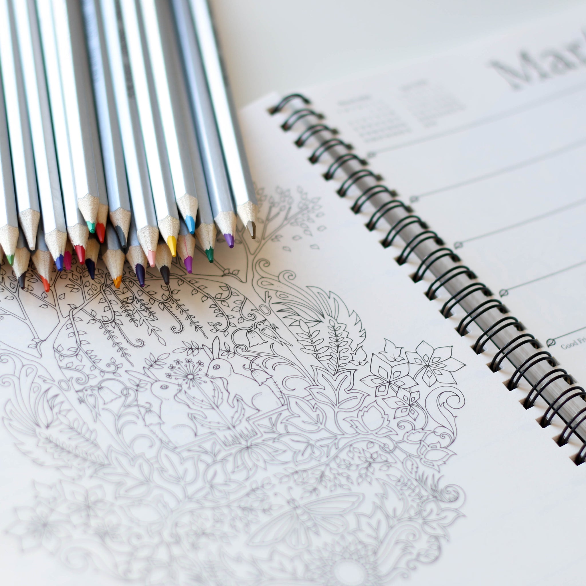 Adult Colouring Books: Passing Fad or An Alternative To Meditation?