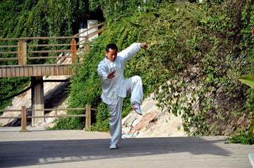 What is Chinese Martial Arts?
