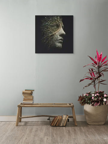 Roots of Identity
