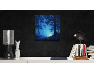 Whispers of Light in the Midnight Forest