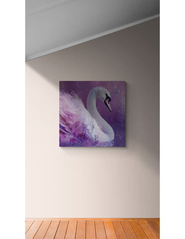 White Swan in Magenta Light | Elegant Fine Art Bird Portrait