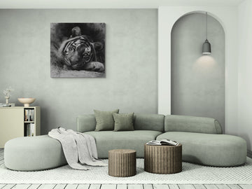 The Gaze of the Wild