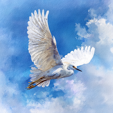 White Bird Flying Watercolor Painting Against Blue Sky