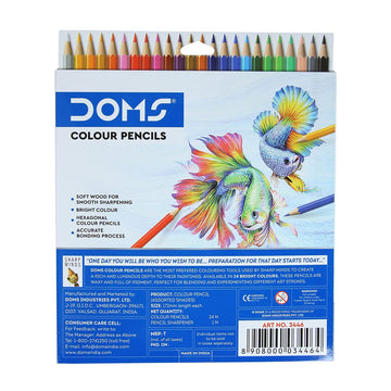 Doms full size color pencils (24 color pencil)