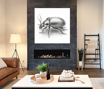 Zoological Artwork Print of Beetle for Game, Kids' & Office Wall Decor