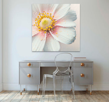 Graceful Beauty Print: Close-up of a Pure White Flower with Pastel Pink Accents Oil Colors