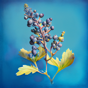 Juicy Delights: Watercolor Art Print of Wild Berries on a Stunning Blue Background