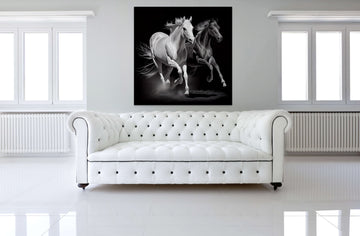 Gallop of Grace: A Stunning White Charcoal Vector Art Print of Two Horses Running on a Black Background