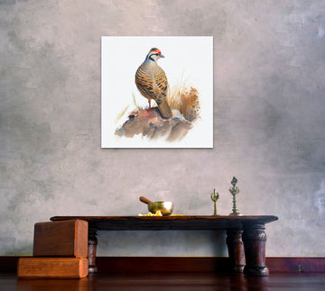 "Serene Majesty: Chikar Bird Perched on Rock - A Stunning Art Print"
